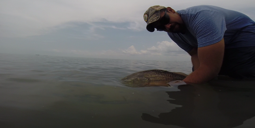 Releasing a Red Drum in Mesquite Bay, Texas.